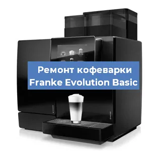 Чистка кофемашины Franke Evolution Basic от накипи в Нижнем Новгороде